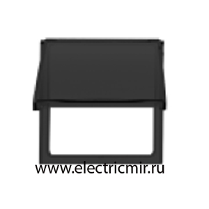 Изображение 2700679-038 Вставка с крышкой для розетки графит Simon