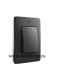Изображение 8200610-038 Рамка на 1 пост, графит, белое основание, 82 Detail