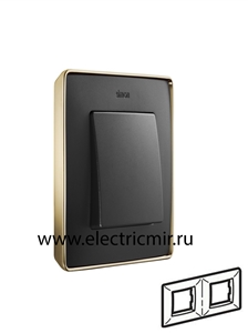 Изображение 8201620-242 Рамка на 2 поста,  графит, основание золото, 82 Detail