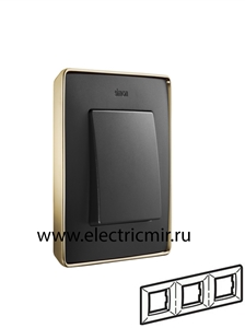 Изображение 8201630-242 Рамка на 3 поста,  графит, основание золото, 82 Detail