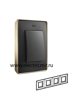 Изображение 8201640-242 Рамка на 4 поста,  графит, основание золото, 82 Detail