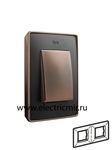 Изображение 8201620-246 Рамка на 2 поста,  графит, основание медь, 82 Detail