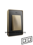 Изображение 8201620-247 Рамка на 2 поста,  графит, основание латунь, 82 Detail