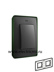 Изображение 8201620-250 Рамка на 2 поста,  зеленый - графит, 82 Detail