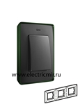 Изображение 8201630-250 Рамка на 3 поста,  зеленый - графит, 82 Detail
