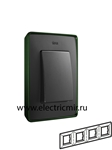 Изображение 8201640-250 Рамка на 4 поста,  зеленый - графит, 82 Detail