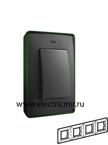 Изображение 8201640-250 Рамка на 4 поста,  зеленый - графит, 82 Detail