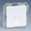 Изображение 82008-34 Адаптер со шорками шампань на 1 коннектор UTP (RJ45), SYSTIMAX, S82, S82N, S82 Detail