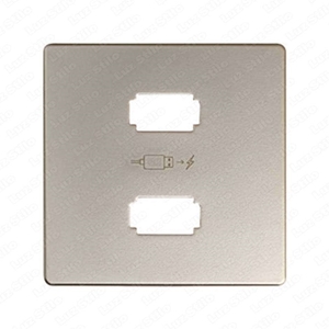 Изображение 8201096-034 Накладка для зарядного устройства 2*USB, S82, S82N, S82 Detail, шампань