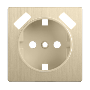 Изображение Накладка  для розетки USB (шампань рифленый)