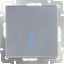 Изображение Выключатель одноклавишный проходной с подсветкой (серебряный)