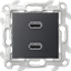 Изображение 2411090-038 Коннектор 2хUSB, графит